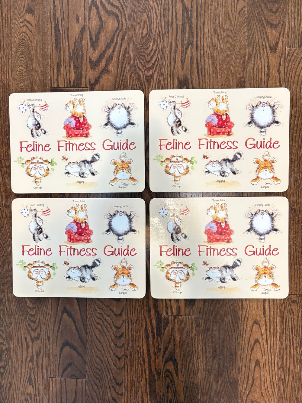 Feline Fitness Guide Cork Backed Placemats Set of 4 Cute Cat Dining Decor